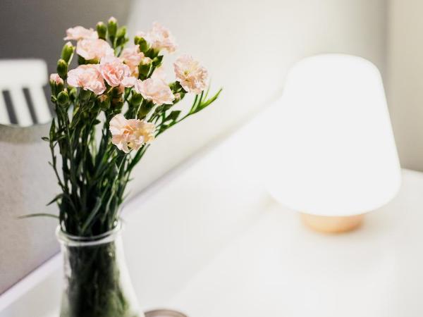 Apartamenty Browar Perła - Perła Brewery Apartments : photo 8 de la chambre studio avec vue sur la ville