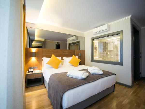 Ankacity Suit Flat : photo 8 de la chambre chambre transparente