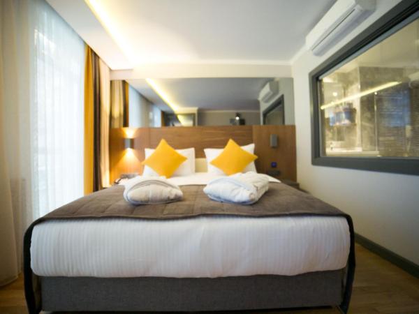 Ankacity Suit Flat : photo 10 de la chambre chambre transparente