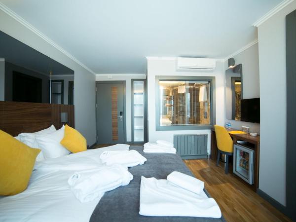 Ankacity Suit Flat : photo 1 de la chambre chambre double transparente