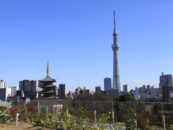 Richmond Hotel Premier Asakusa International : photo 5 de la chambre chambre triple premier - fumeurs