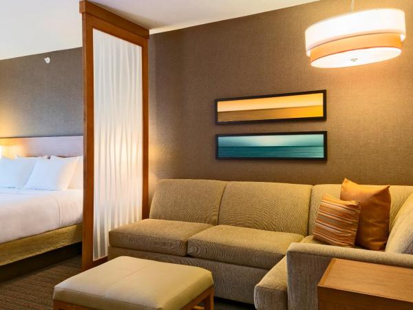 Hyatt Place Los Cabos : photo 5 de la chambre chambre lit king-size avec canapé-lit