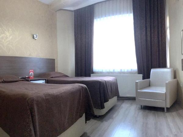 Fatih Hotel Erciyes : photo 5 de la chambre chambre double ou lits jumeaux