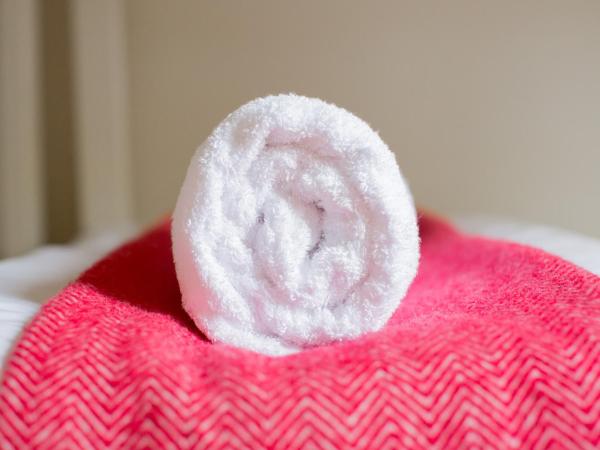 Montacute Boutique Bunkhouse : photo 3 de la chambre chambre lits jumeaux avec lits superposés