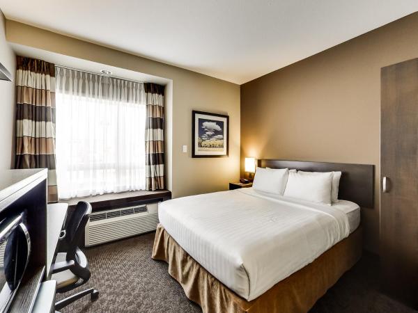 Microtel Inn & Suites by Wyndham Red Deer : photo 4 de la chambre chambre lit queen-size standard - non-fumeurs