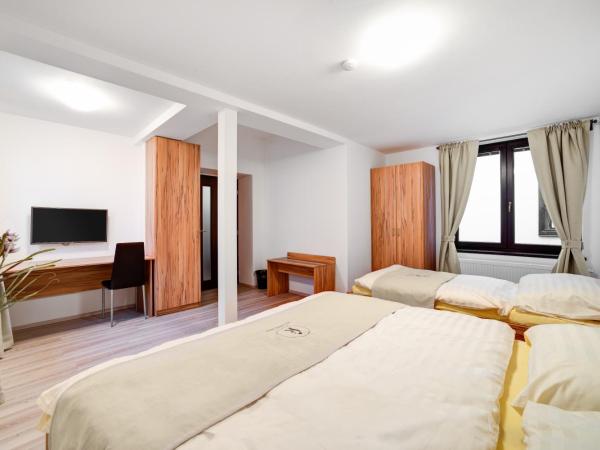 Penzion Královská Cesta : photo 2 de la chambre chambre triple avec salle de bains privative