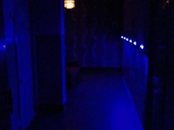 Hotel Bengal : photo 2 de la chambre chambre familiale deluxe