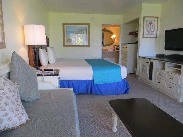 Seralago Hotel & Suites Main Gate East : photo 3 de la chambre chambre lit king-size avec canapé-lit