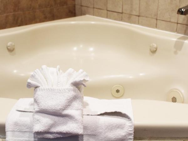 Hotel Iris - Mission Valley-San Diego Zoo-SeaWorld : photo 3 de la chambre chambre lit king-size avec baignoire spa - non-fumeurs