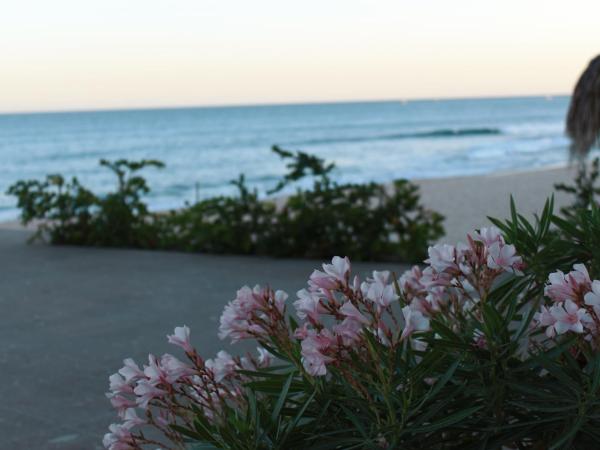 Casa Costa Azul : photo 4 de la chambre chambre king standard avec vue sur océan