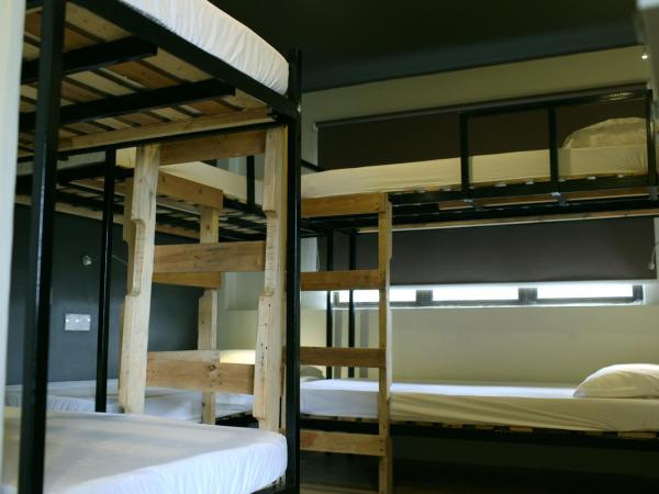 Revopackers Beds and Bunks : photo 1 de la chambre dortoir mixte de 6 lits