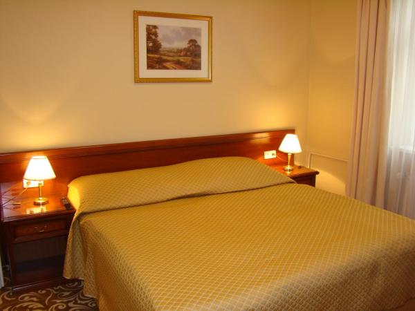 Hotel Saint Petersburg : photo 3 de la chambre suite classique