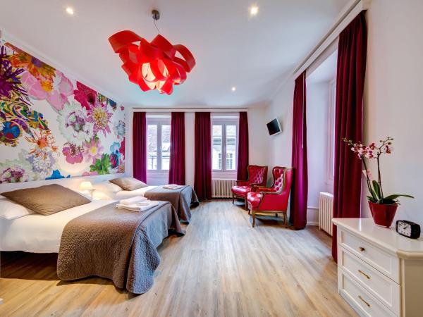 Hôtel du Raisin : photo 1 de la chambre chambre lits jumeaux spacieuse