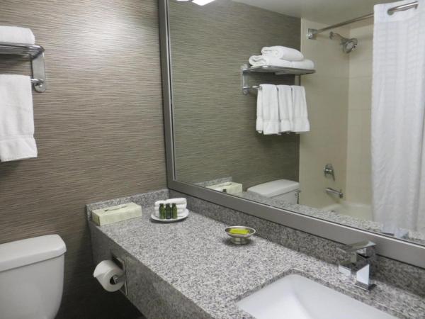 Toronto Don Valley Hotel and Suites : photo 10 de la chambre suite 1 chambre avec 2 lits doubles