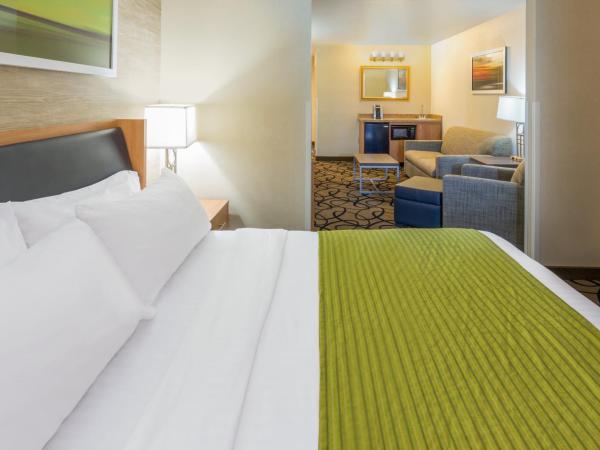 Holiday Inn Express Hotel and Suites - Henderson, an IHG Hotel : photo 4 de la chambre chambre lit king-size - adaptée aux personnes malentendantes/non-fumeurs