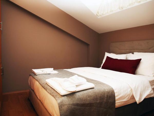 Akin Suites : photo 6 de la chambre appartement supérieur (5 adultes)