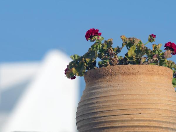 Mykonos View Hotel : photo 4 de la chambre chambre lits jumeaux sans vue