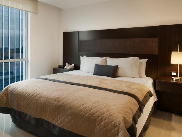 Wyndham Garden Guadalajara Acueducto : photo 3 de la chambre chambre lit king-size avec vue - non-fumeurs