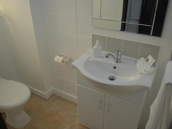 Rotorua Motel : photo 4 de la chambre studio