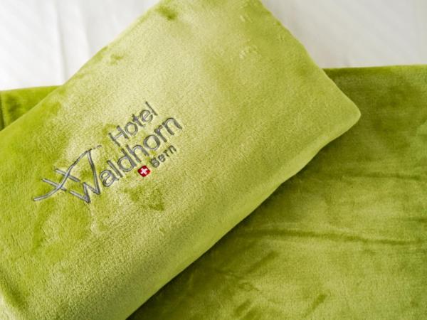 Hotel Waldhorn : photo 4 de la chambre chambre simple affaires