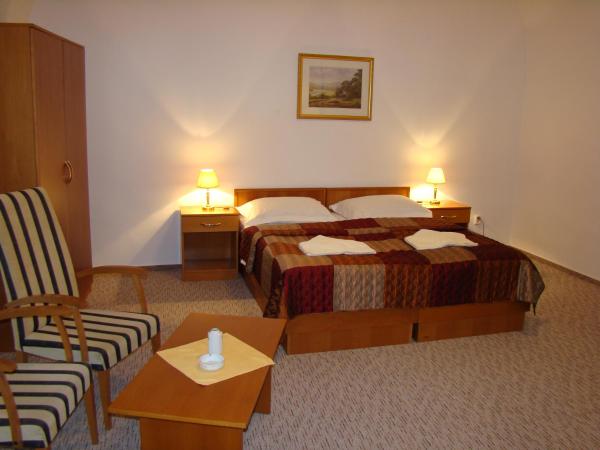 Hotel Saint Petersburg : photo 1 de la chambre chambre Économique