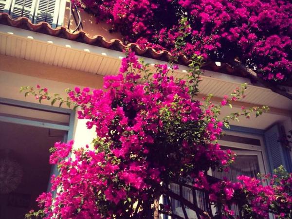 Hotel Cyrnos : photo 2 de la chambre chambre double