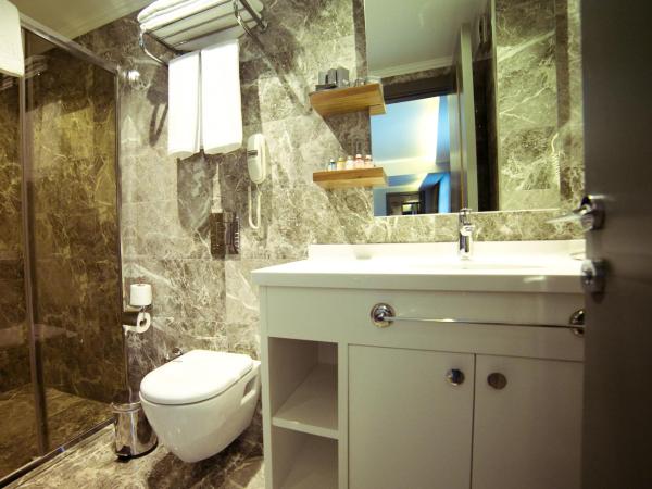 Ankacity Suit Flat : photo 7 de la chambre suite moderne