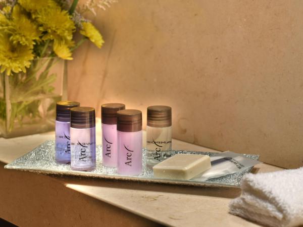 ARC Recoleta Boutique Hotel & Spa : photo 5 de la chambre chambre double supérieure - vue sur intérieur