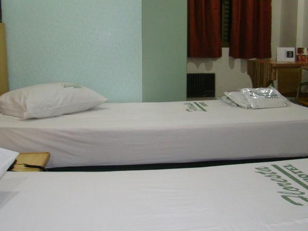 Floresta Tucuruvi (Adult Only) : photo 10 de la chambre chambre lits jumeaux standard