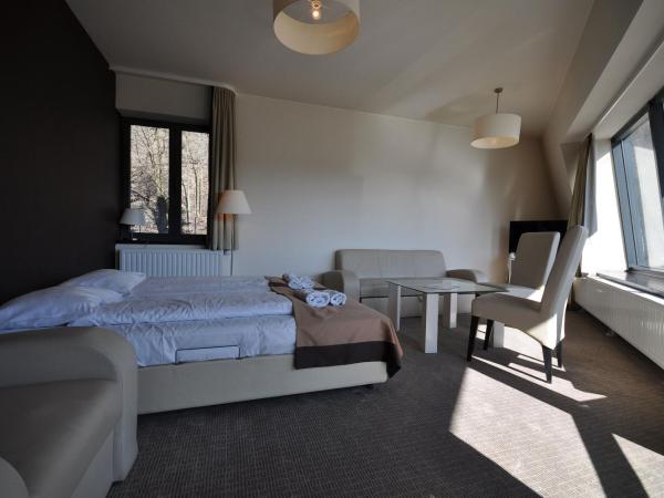 Szklane Domy : photo 3 de la chambre appartement studio jardin