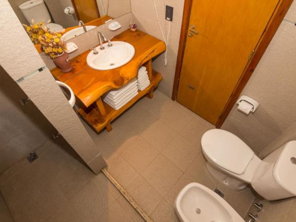 Lejano Nahuel : photo 6 de la chambre appartement 2 chambres avec 2 salles de bains