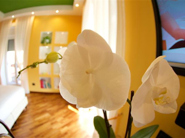 Il Giardino Segreto : photo 10 de la chambre chambre double ou lits jumeaux supérieure - vue sur jardin