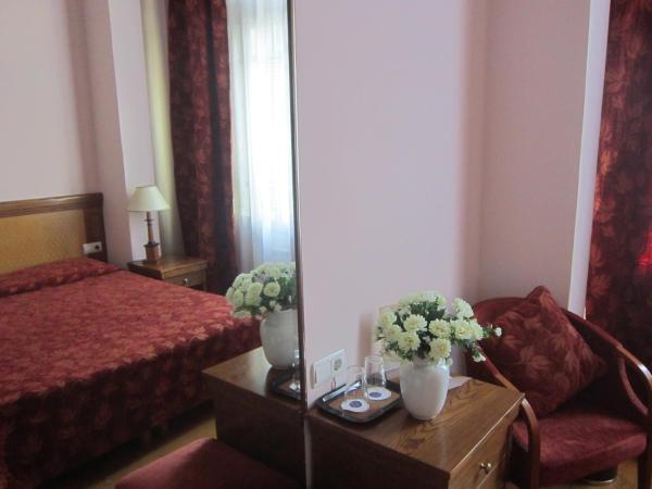 Minerva Premier Hotel : photo 3 de la chambre chambre simple