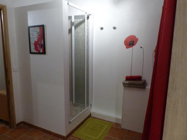 Gîte du Pagoulin - Chambres d'hôtes : photo 10 de la chambre chambre double avec terrasse