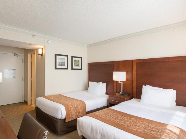 Comfort Inn By the Bay : photo 9 de la chambre chambre lits jumeaux standard - non-fumeurs