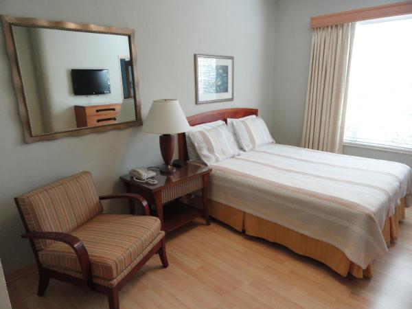 Viscay Hotel : photo 1 de la chambre chambre supérieure