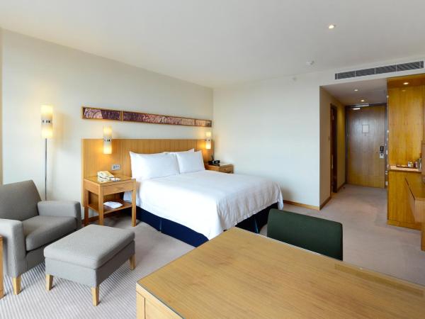 Canary Riverside Plaza Hotel : photo 2 de la chambre chambre lit king-size deluxe