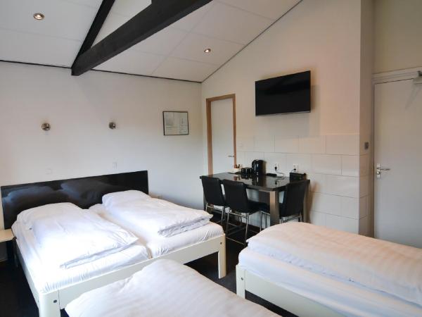 Hotel Bienvenue : photo 5 de la chambre chambre quadruple avec douche