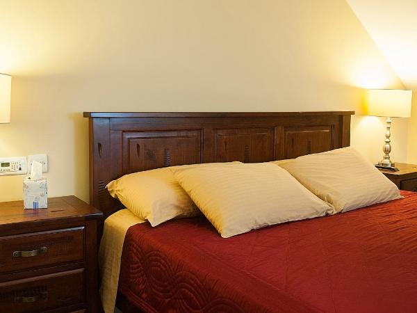 Sea Breeze Lodge B&B Galway : photo 2 de la chambre chambre double supérieure - vue sur jardin