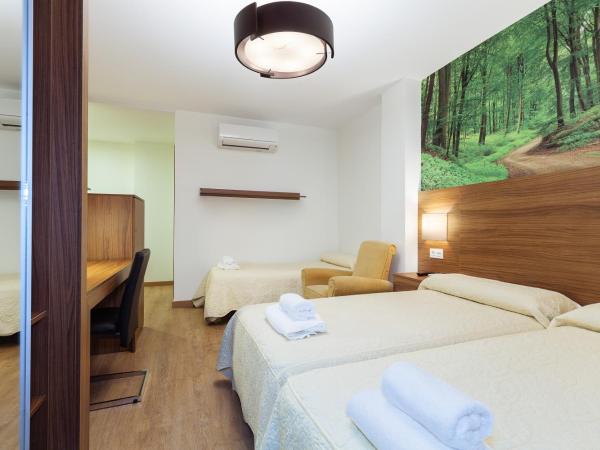 Hostal Arriola : photo 4 de la chambre chambre triple avec salle de bains privative