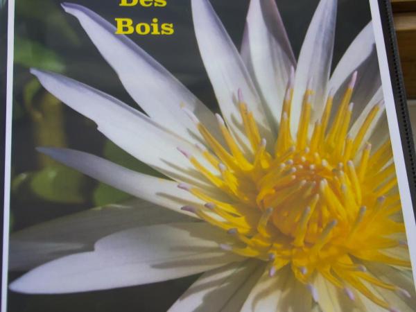 Le Coureur Des Bois : photo 3 de la chambre chambre lit queen-size avec salle de bains privative