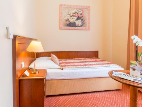 Ensana Centrální Lázně - Maria Spa : photo 1 de la chambre single room with garden view and wellness and fitness access