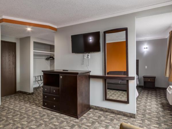 Airport Traveller's Inn : photo 1 de la chambre suite lune de miel