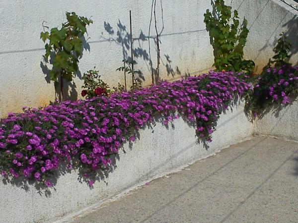 Guest House Vukušić : photo 4 de la chambre chambre double