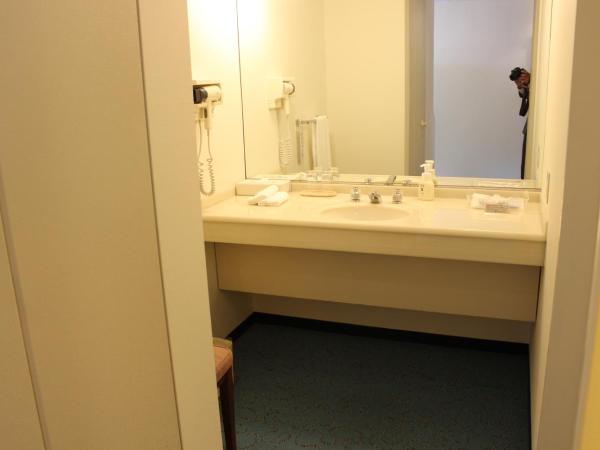 Kobe Portopia Hotel : photo 8 de la chambre chambre lit queen-size deluxe avec balcon - aile sud - non-fumeurs