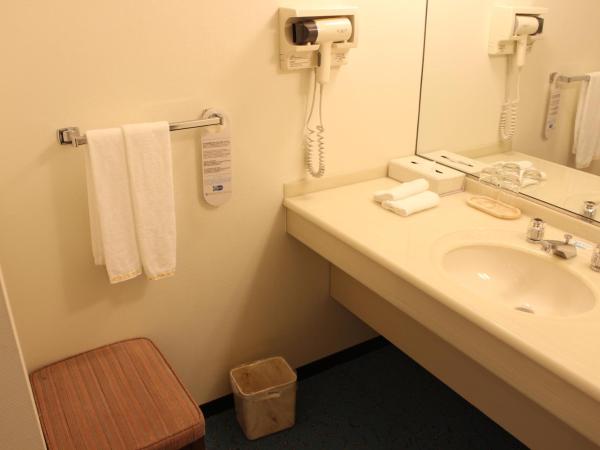 Kobe Portopia Hotel : photo 9 de la chambre chambre lit queen-size deluxe avec balcon - aile sud - non-fumeurs