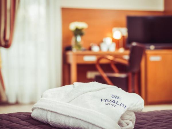 Hotel Vivaldi : photo 2 de la chambre chambre familiale avec terrasse 