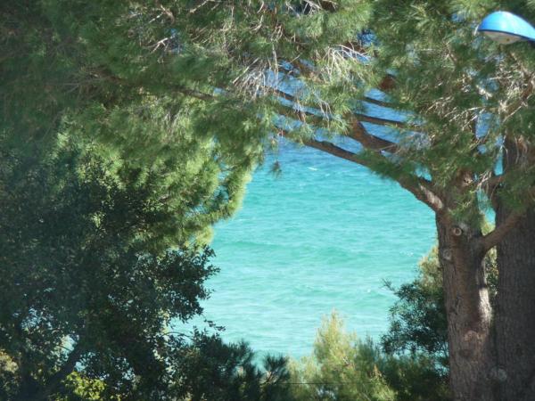 Hôtel les Eucalyptus : photo 5 de la chambre chambre double ou lits jumeaux avec balcon