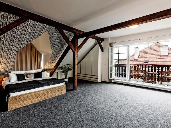 Penzion Bird's Nest : photo 3 de la chambre suite deluxe