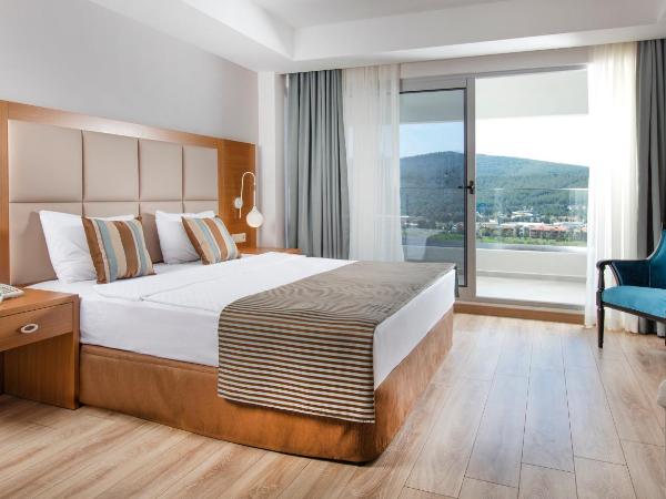 Palm Wings Ephesus Beach Resort - Ultra All Inclusive : photo 3 de la chambre chambre double ou lits jumeaux standard - vue sur mer